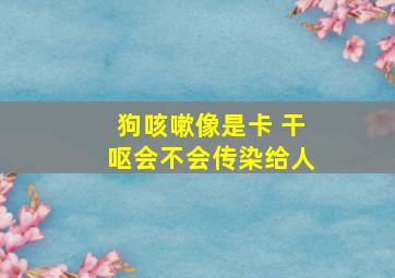 狗咳嗽像是卡 干呕会不会传染给人